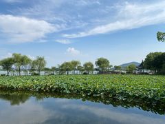 -无锡蠡湖国家湿地公园-蠡园