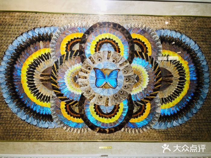 上海昆虫博物馆图片