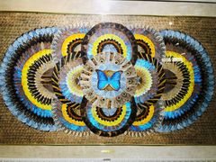 -上海昆虫博物馆