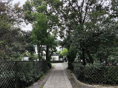-树山生态村
