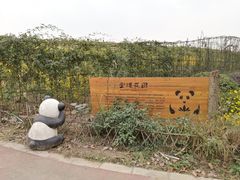 -空港花田景区