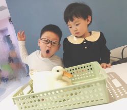 -Moni星球萌宠·小马宝莉·灵蛇·高端高阶全萌宠互动体验俱乐部(红豆国际广场店)