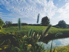 -安德鲁户外烧烤帐篷营地(马泉营店)