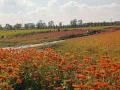-映月湖中央公园