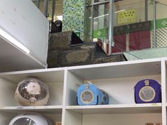 -爱侣宠医·鹦鹉专科·小型哺乳类·异宠专科(灵石路店)