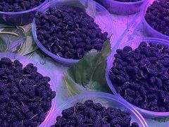 -五里多农博广场