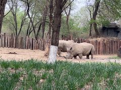 -北京野生动物园