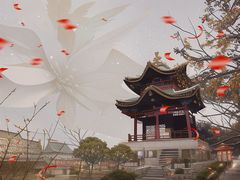 -武汉园博园(武汉自然博物馆)