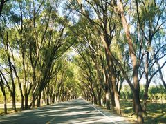 -野鸭湖国家湿地公园