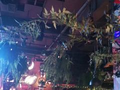-胡桃里乐队酒馆(大庆店)