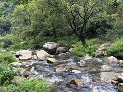 -青城山