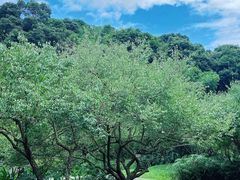 -广州市白云山风景名胜区
