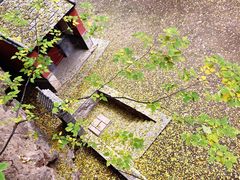 -北京上方山国家森林公园