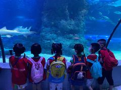 -蕃茄田艺术(普陀长风大悦城中心)