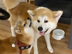 -YCHL Studios健身工作室(市二宫店)