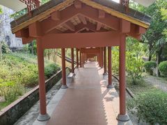 -广州神农草堂中医药博物馆