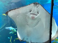 -福州罗源湾海洋世界旅游区