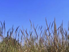 -楠溪江风景名胜区