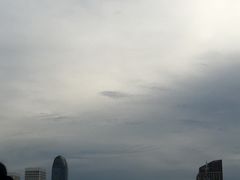-万绿园