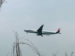 -空港花田景区