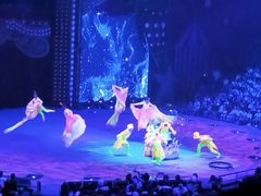 -珠海横琴长隆《卡卡虎奇遇记》