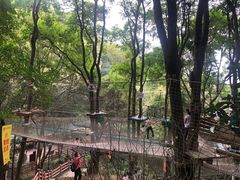 -天鹿湖森林公园