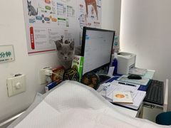 -北京恒爱动物医院(清景园分院)