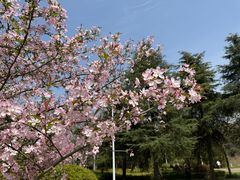 -幕燕滨江·长江观音景区