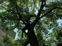 -湖北美术学院(昙华林校区)