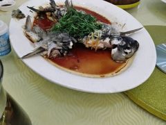 -东胜客河鲜店·西江河鲜·老字號渔家菜