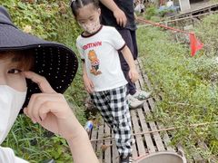 -同銮特种养殖场·龙虾垂钓