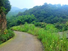 -会稽山峡洞漂流-上青古道