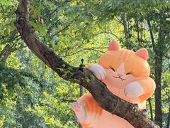 -西安电影制片厂