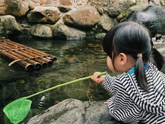 -白云源风景区