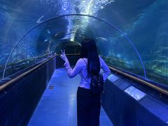 -厦门海底世界
