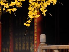-古大圣慈寺