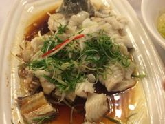 鲈鱼-朱仔记食府(江南大道店)
