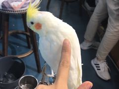 -龟与熊猫宠物公园(南坪店)