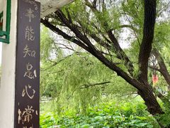 -北陵公园