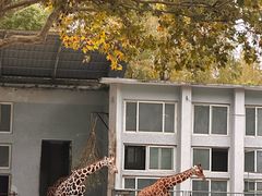 -上海动物园(地铁站)