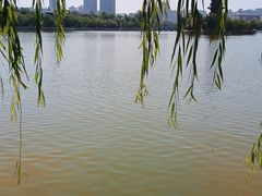 -迎泽公园