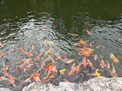-青岛鑫江温德姆酒店