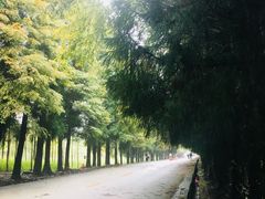 -山王坪喀斯特国家生态公园