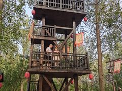 -合肥滨湖国家森林公园