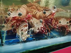 -三亚火车头万人海鲜广场