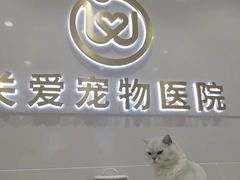 -关爱宠物医院·猫科中心·消化科(滨湖万达分院)