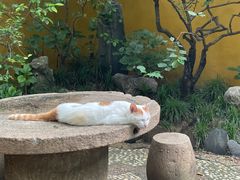 -西园戒幢律寺