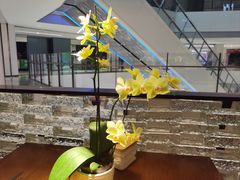 -小户人家(循礼门南国中心店)