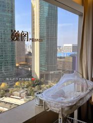 -巍阁高端月子会所