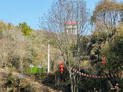 -惠山国家森林公园